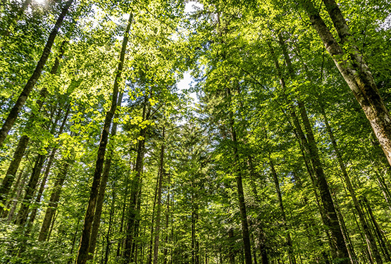 Reduction of atmospheric emissions