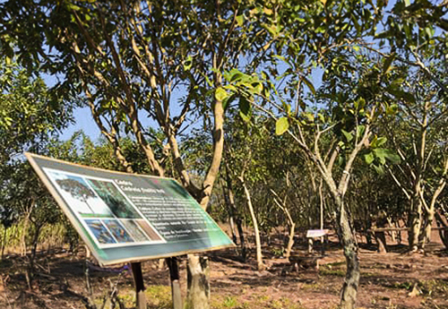 Proyecto medioambiental - Ottani